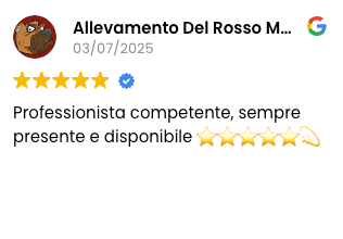 recensione rosso malpelo