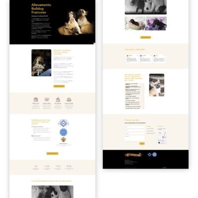 esempio landing page